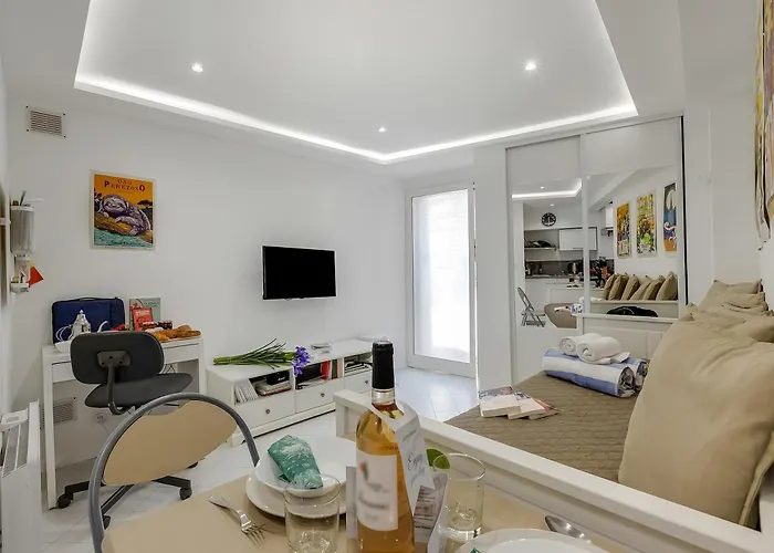 Old Town 50m And Shop Appartement Menton