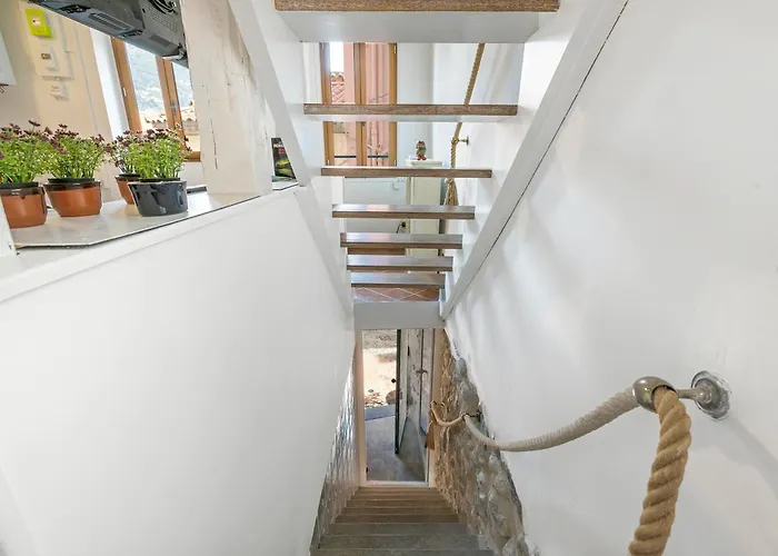 Apartamento Old Town 50m And Shop Menton